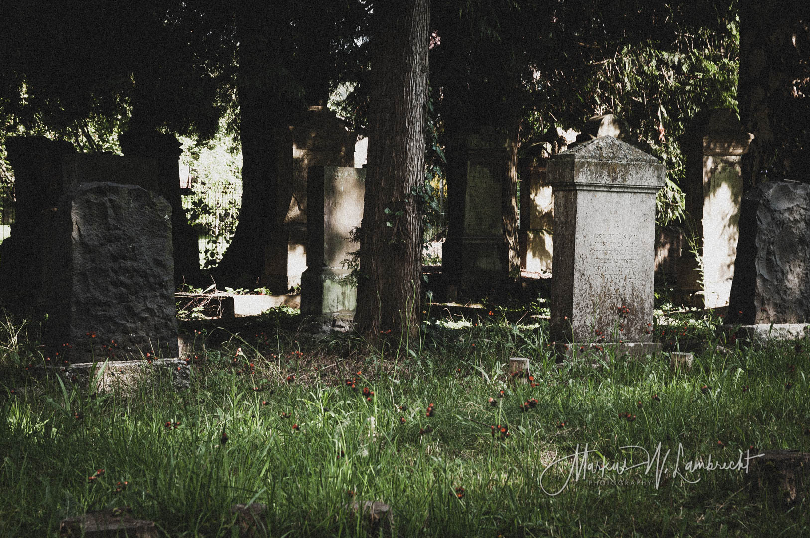 Helmarshausen, Jüdischer Friedhof